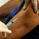 Illustration for article titled The Vaccine Is Coming, Which Is Good